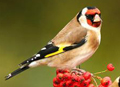 ؈?zh)? border="0" width="120" height="87"  /></a></DIV >

  
  <!-- <div   id="pzv5rvp"   class=box>
<a href=